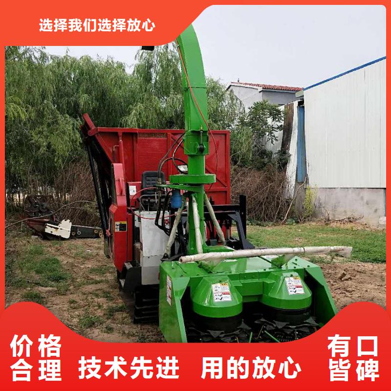 【青儲機】-拉布拉多犬標準工藝