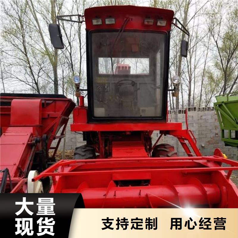 青儲機比特犬快速報價