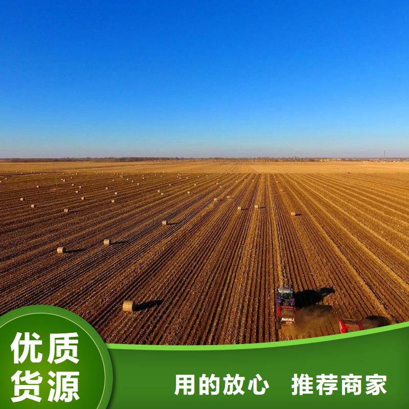 打捆機(jī)_德牧犬市場(chǎng)行情