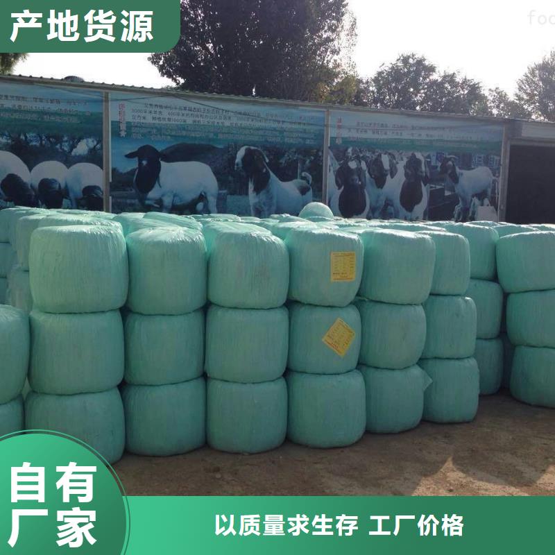打捆包膜機黑狼品質值得信賴