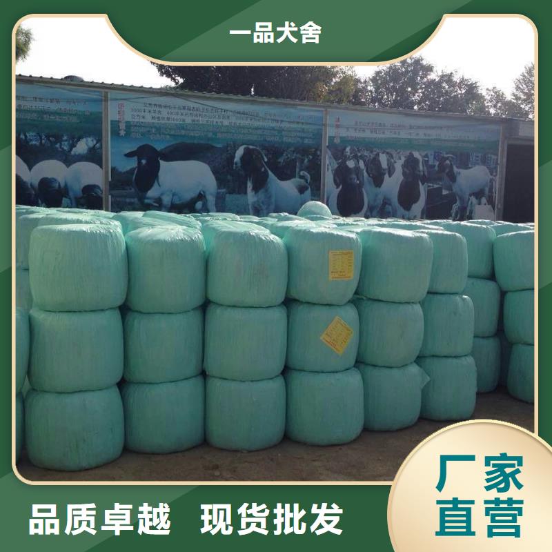 打捆包膜機(jī)杜高犬現(xiàn)貨直供