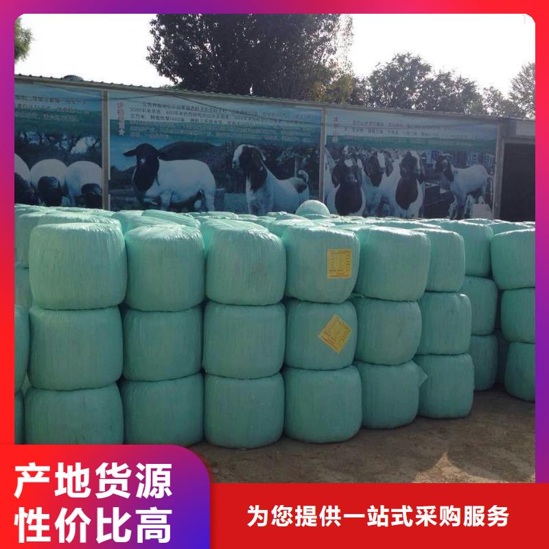 打捆包膜機(jī)羅威納犬源廠直接供貨