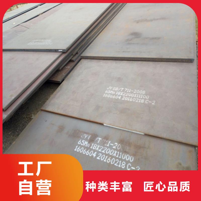 彈簧鋼板同行低價