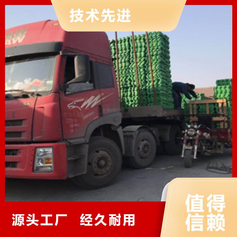環(huán)保植草格土工布廠家定制定做