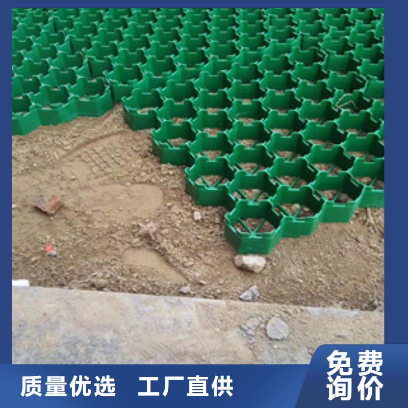 环保植草格,土工布厂家按需定做