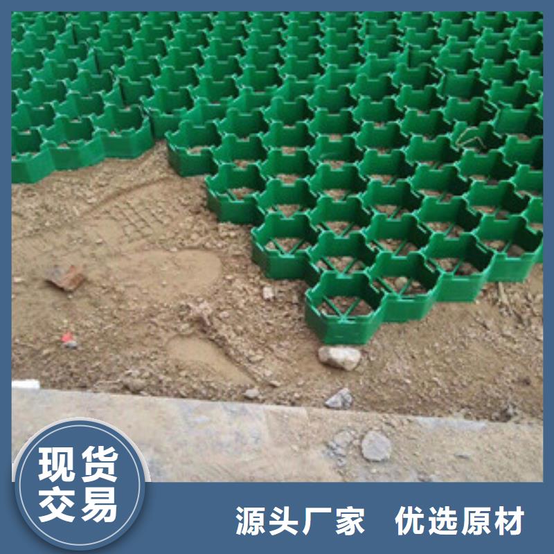 环保植草格,植草格厂家厂家直销省心省钱