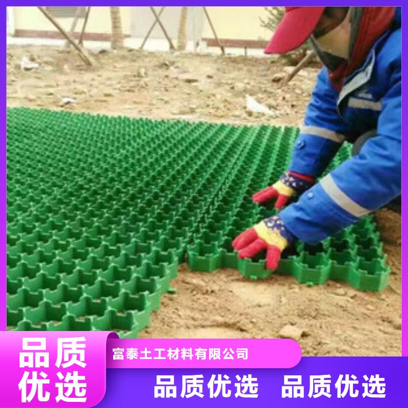 環保植草格排水板廠家精工打造