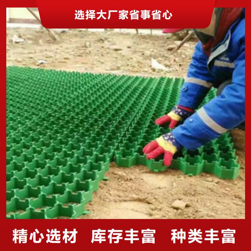 【環保植草格】,植草格廠家實力見證