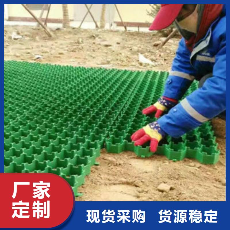 环保植草格_土工膜厂家一件也发货