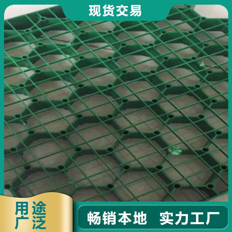 環(huán)保植草格,土工布廠家廠家直營