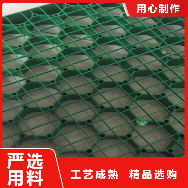 环保植草格_土工膜厂家一件也发货