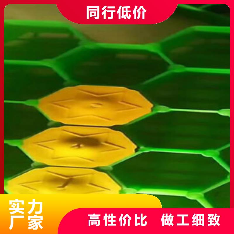 【环保植草格】生态袋厂家应用范围广泛