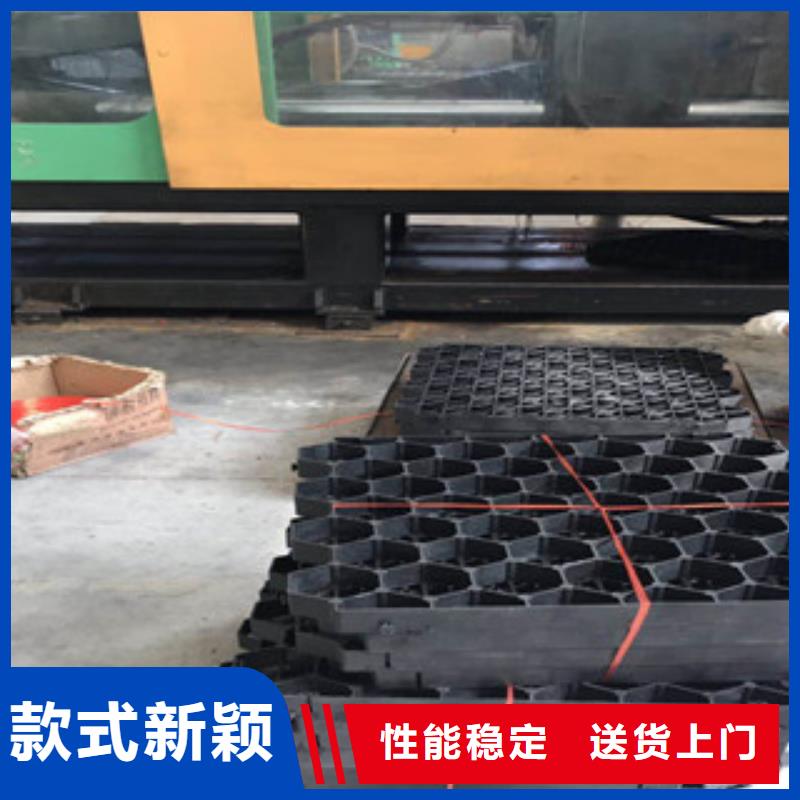 環(huán)保植草格生態(tài)袋廠家服務(wù)始終如一