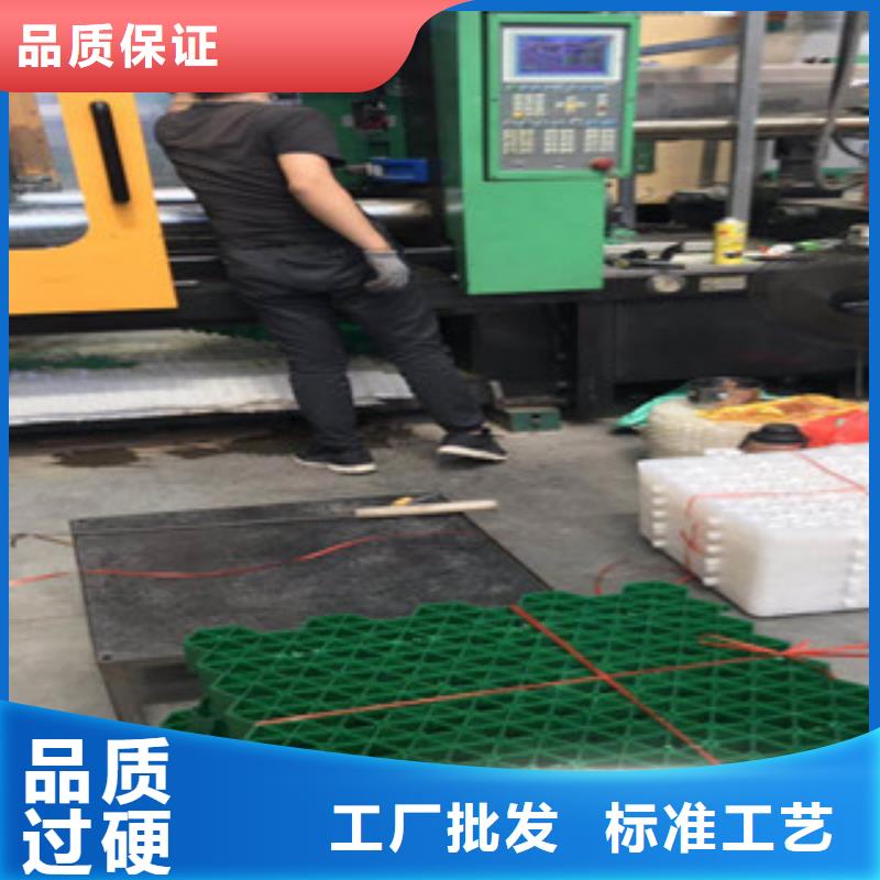 环保植草格膨润土防水毯厂家专业品质