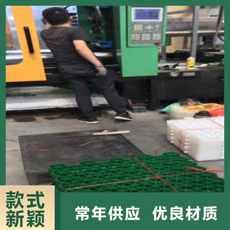 環(huán)保植草格土工布廠家定制定做