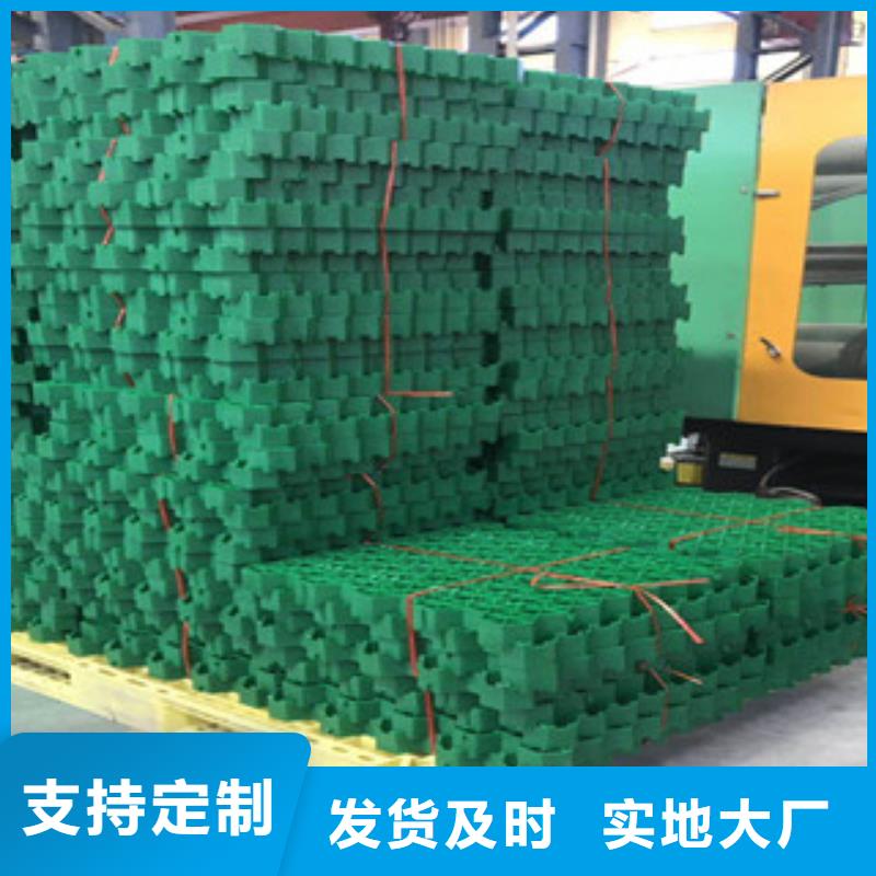 環(huán)保植草格,虹吸排水板廠家廠家批發(fā)價