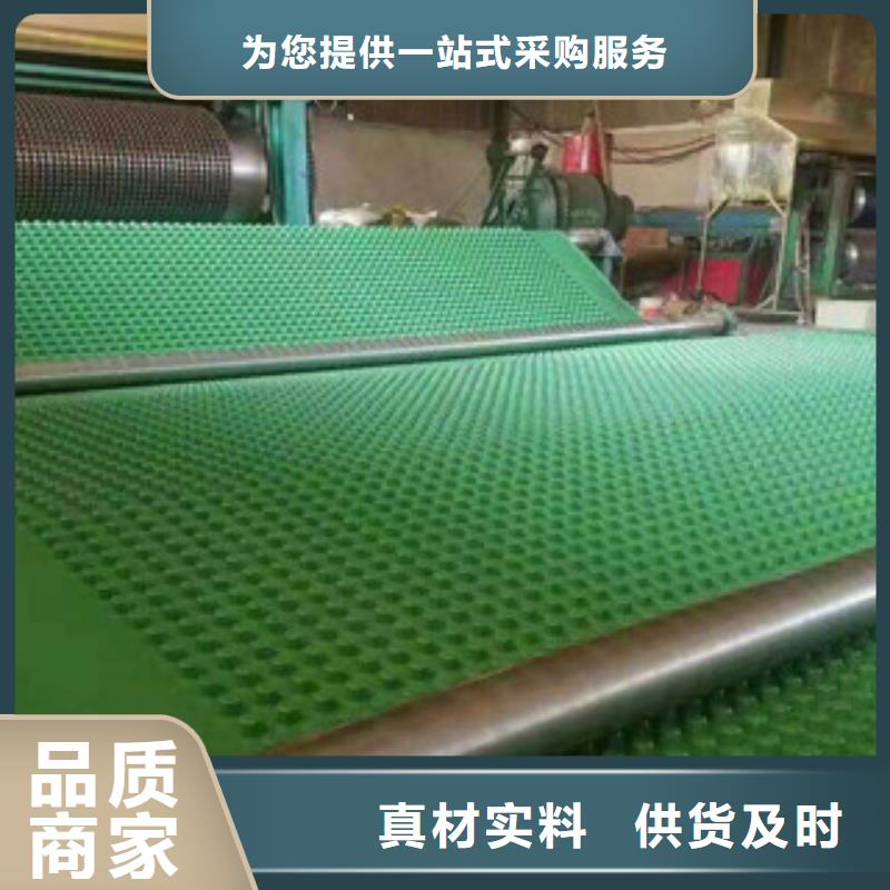 塑料排水板蓄排水板廠家優質工藝