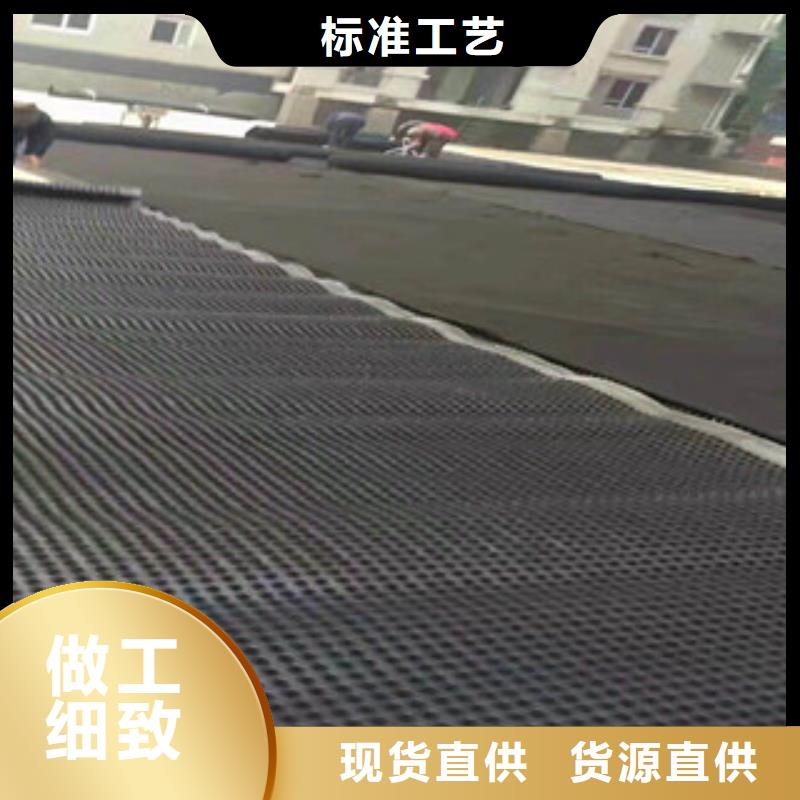 塑料排水板蓄排水板廠家優質工藝