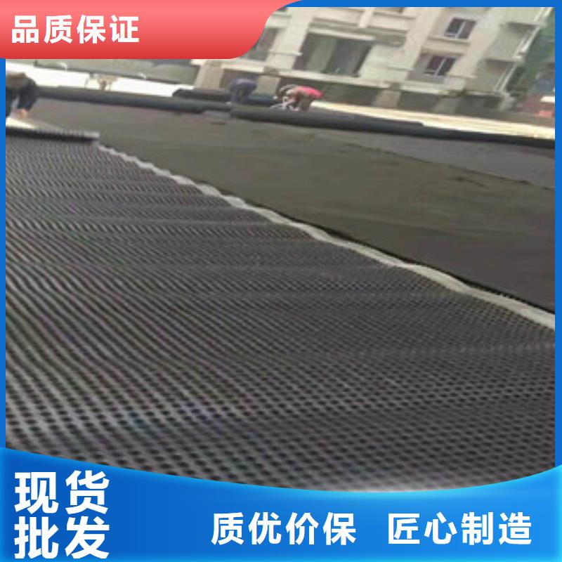 【塑料排水板】_蓄排水板厂家用品质说话