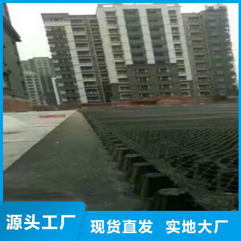塑料排水板植草格廠家源頭實體廠商