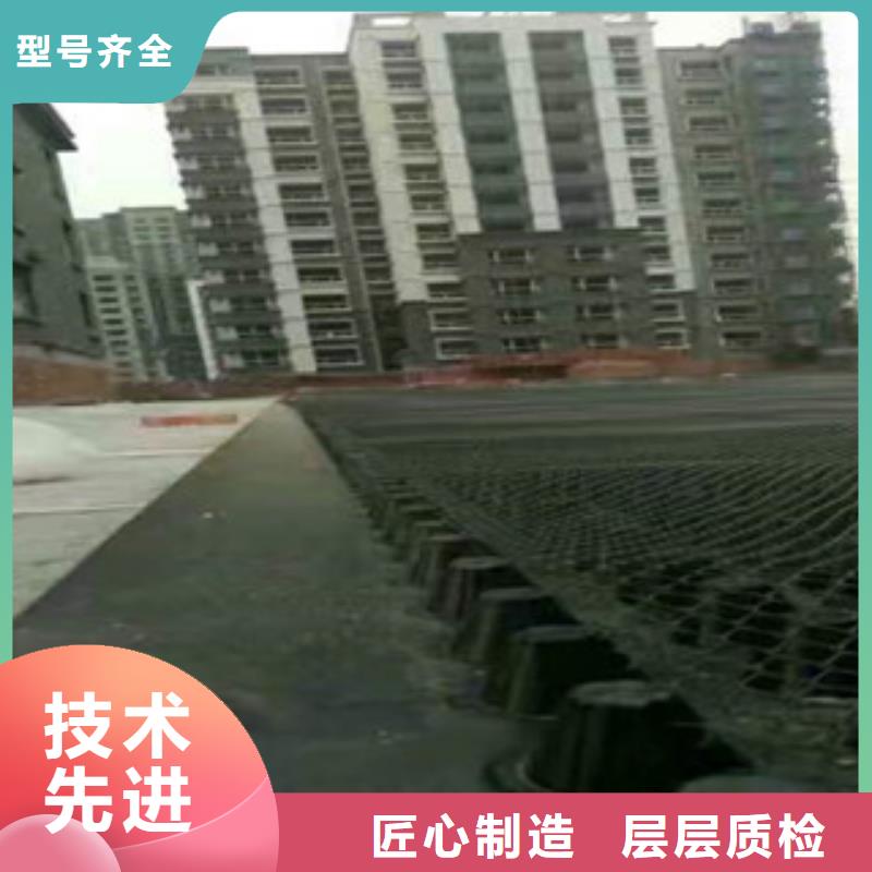 塑料排水板,植草格廠家發貨及時