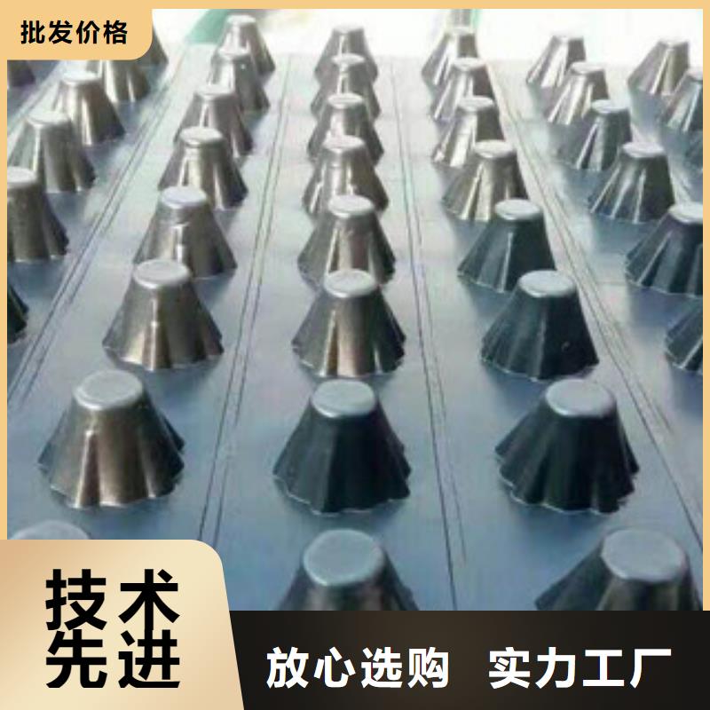 塑料排水板蓄排水板廠家優質工藝