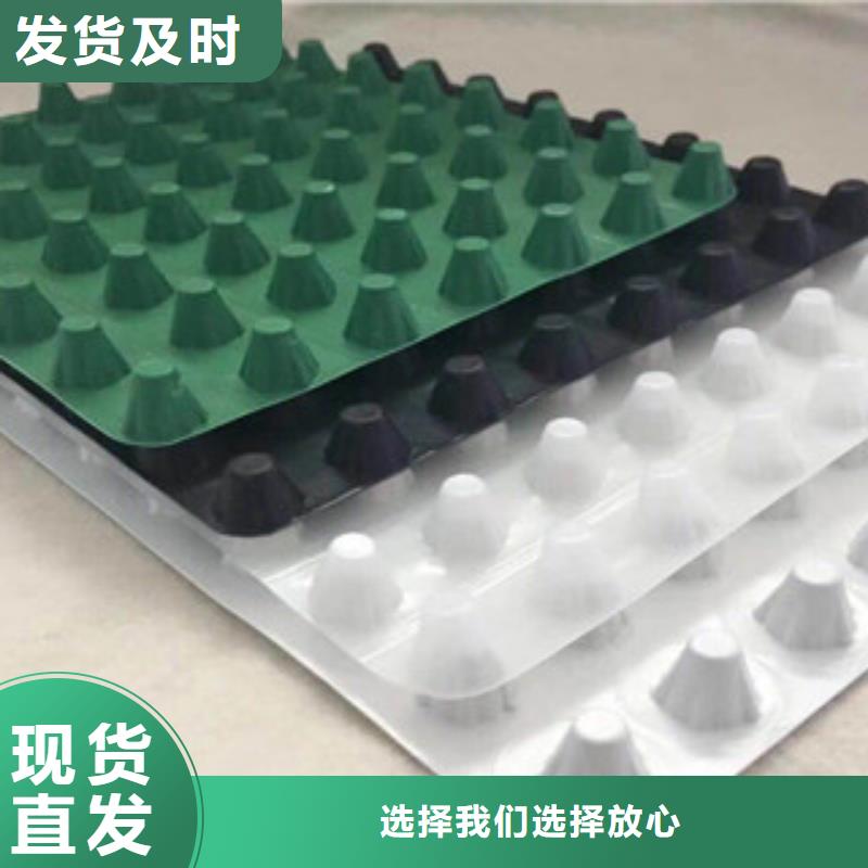 塑料排水板蓄排水板厂家用品质赢得客户信赖