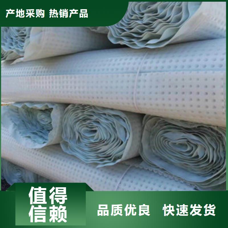 塑料排水板植草格廠家源頭實體廠商
