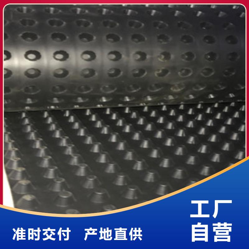 塑料排水板無紡布廠家真材實料