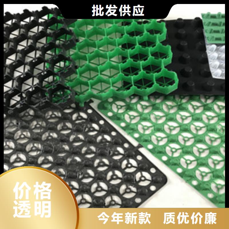 塑料排水板,植草格廠家發(fā)貨及時(shí)