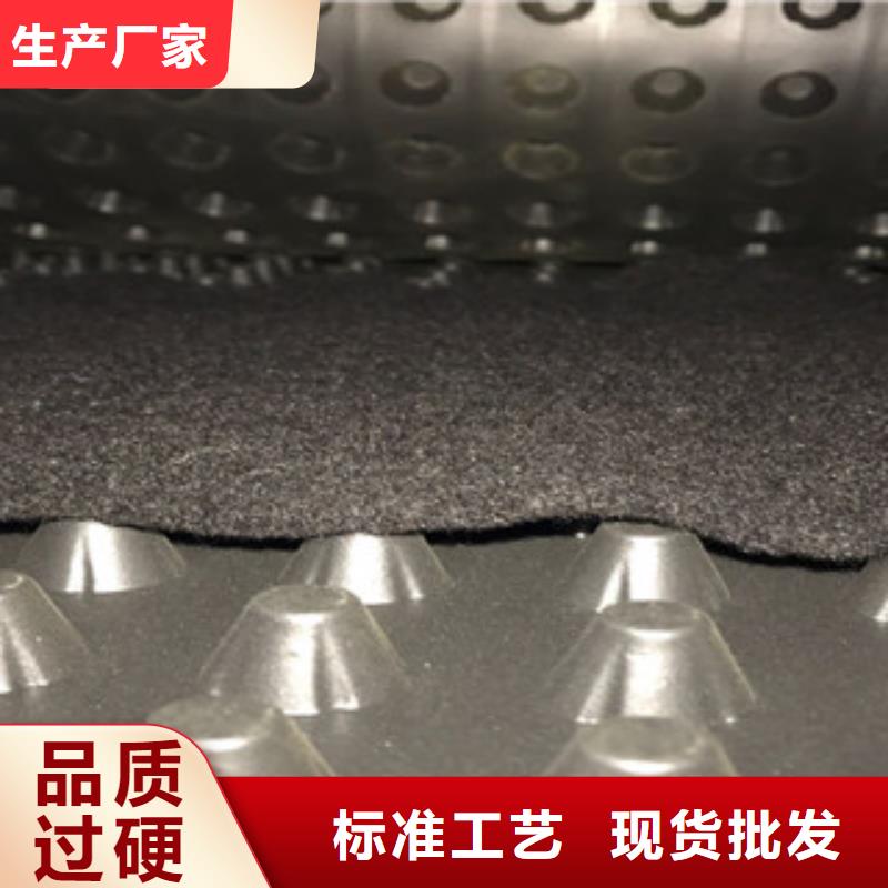 塑料排水板土工膜廠家來圖來樣定制