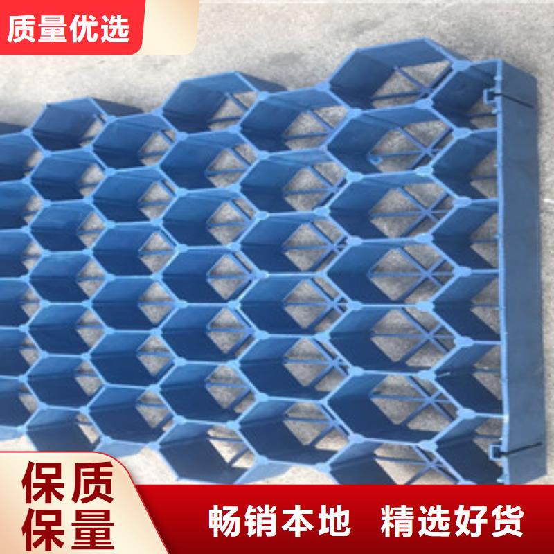 植草格-土工布廠家定制批發(fā)
