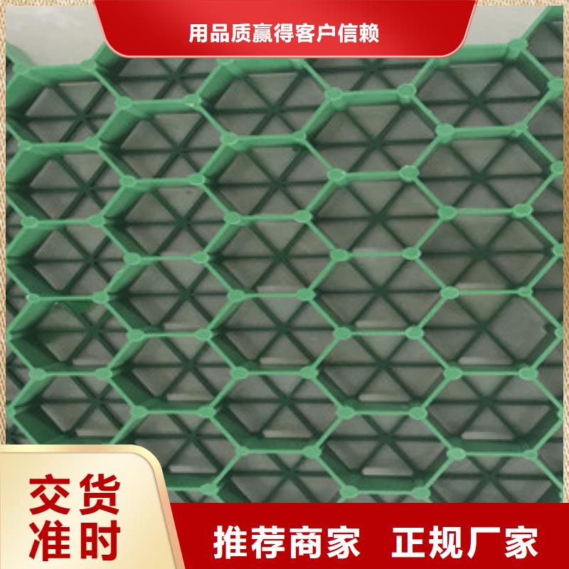 植草格-排水板廠家購買的是放心