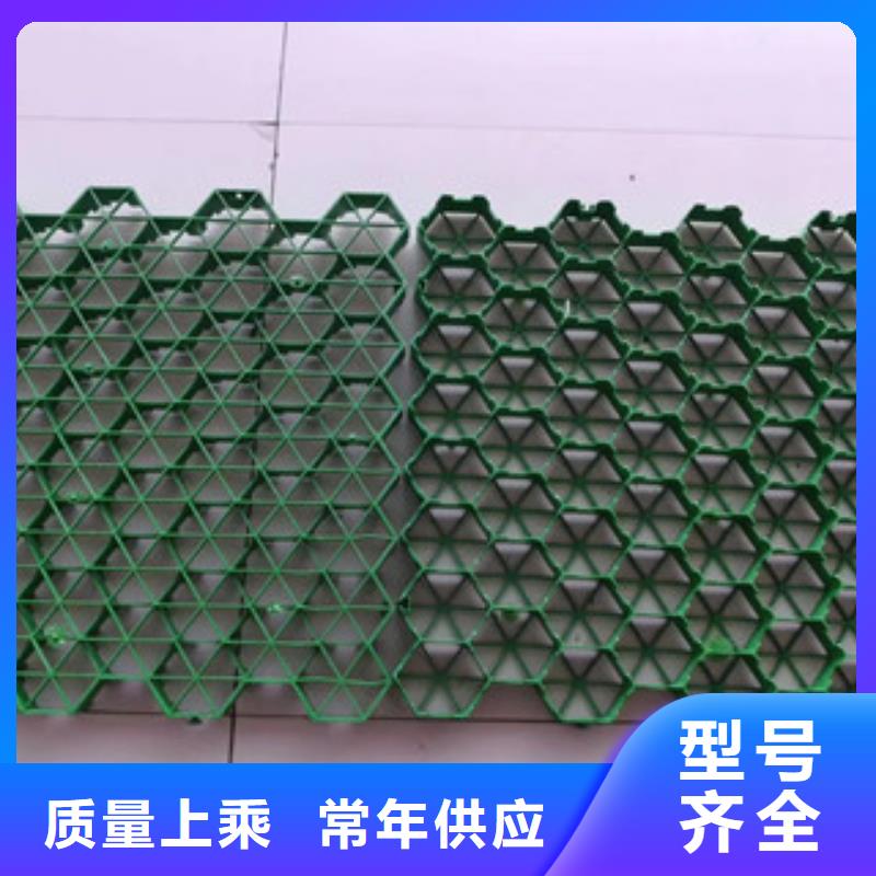 【植草格-植草格廠家實力大廠家】