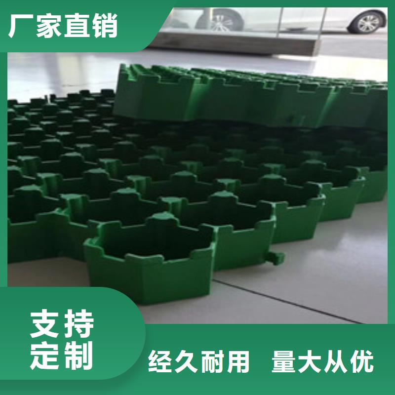 植草格-排水板廠家購買的是放心