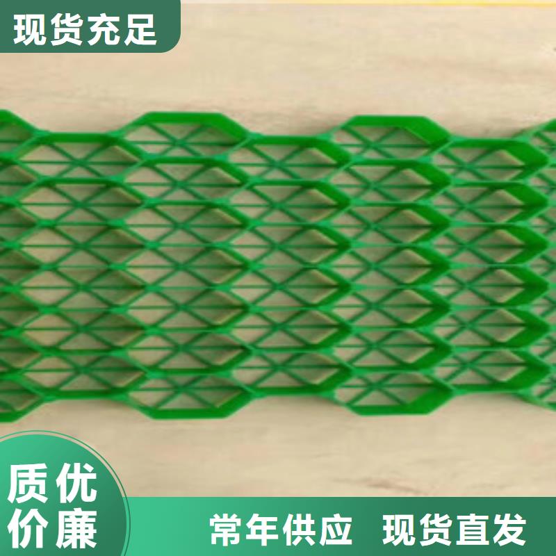 植草格-排水板廠家購買的是放心