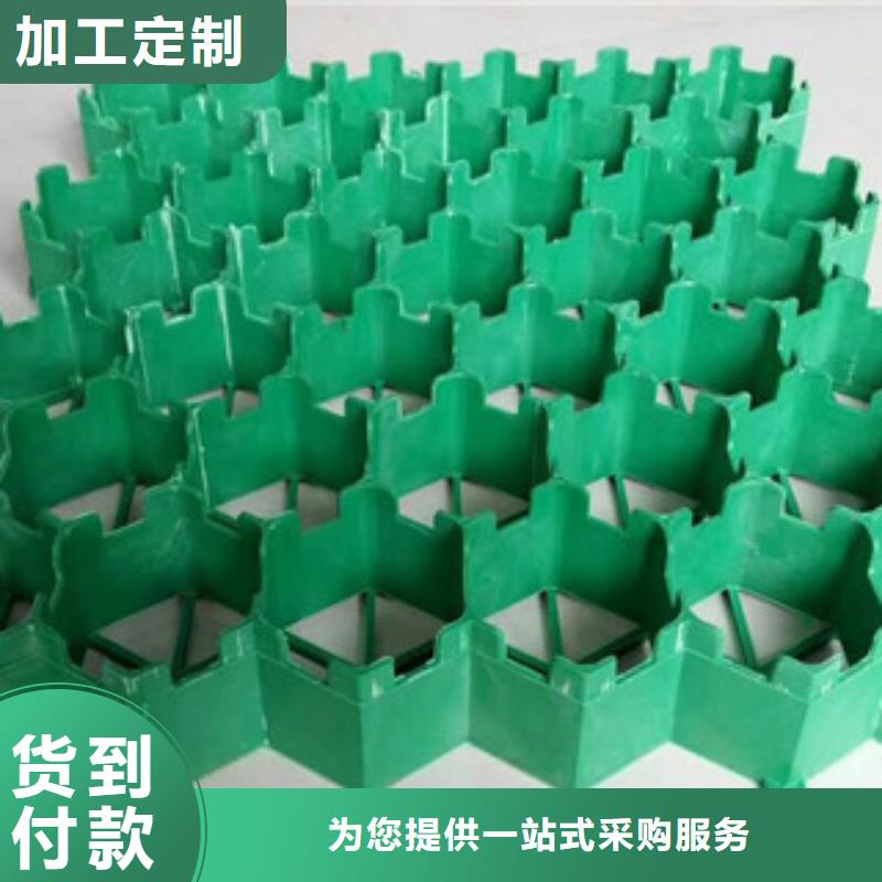 植草格-【土工膜廠家】質檢合格發貨
