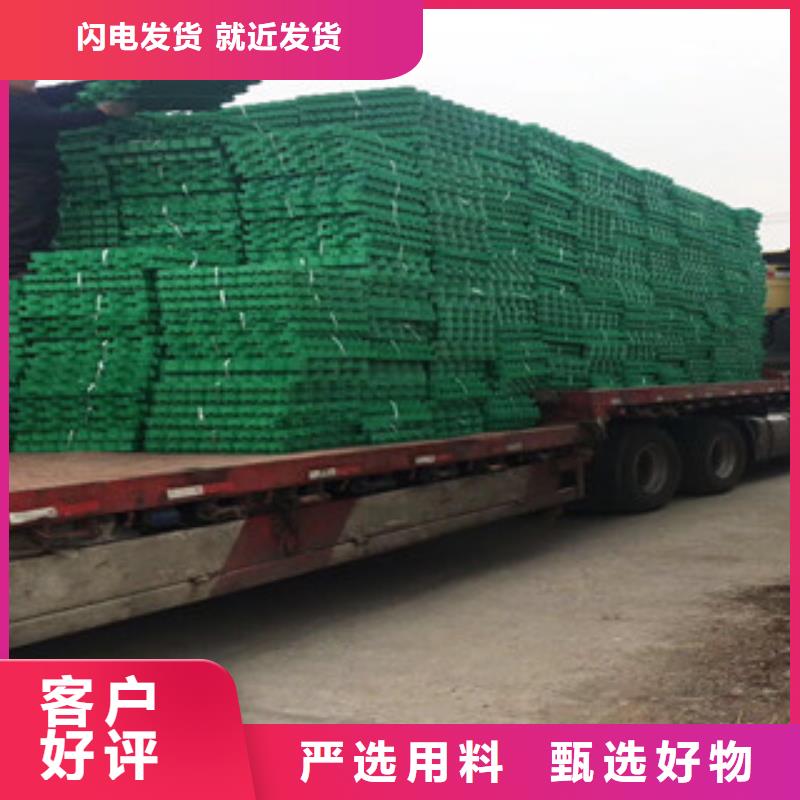 植草格植草格廠家支持拿樣