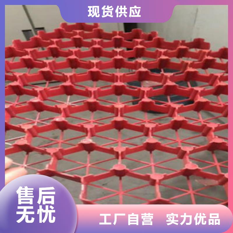 植草格膨润土防水毯厂家厂家自营