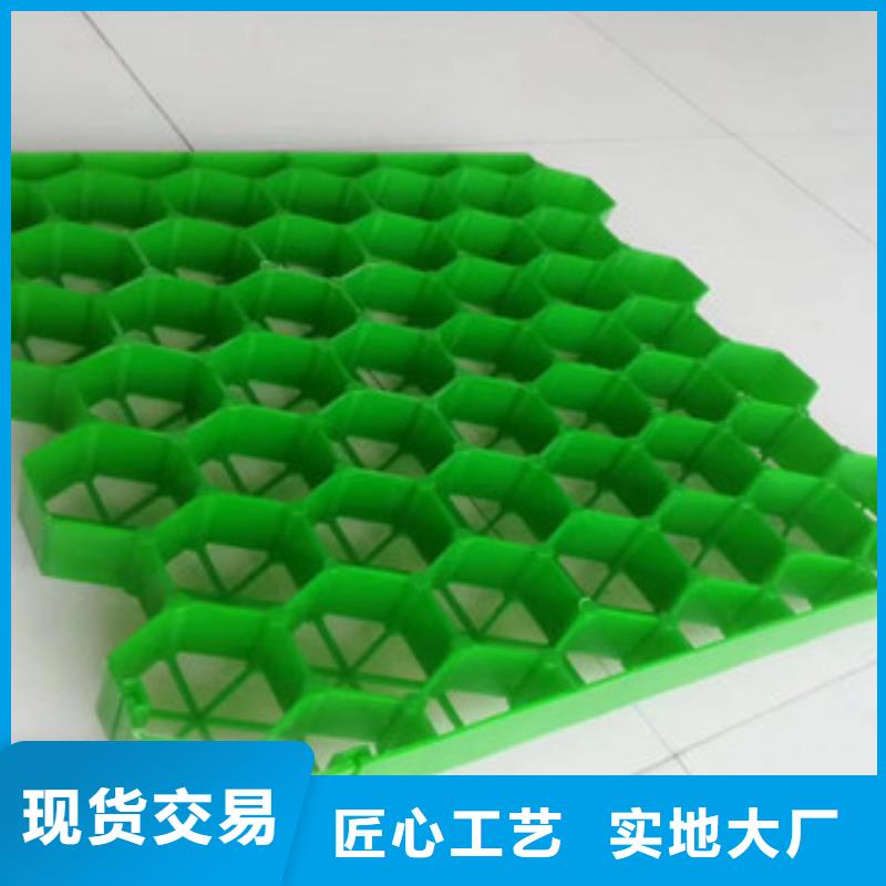 植草格-【土工膜廠家】質檢合格發貨