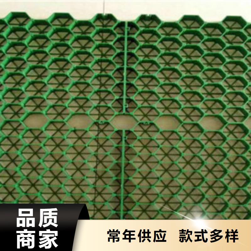 植草格植草格廠家支持拿樣