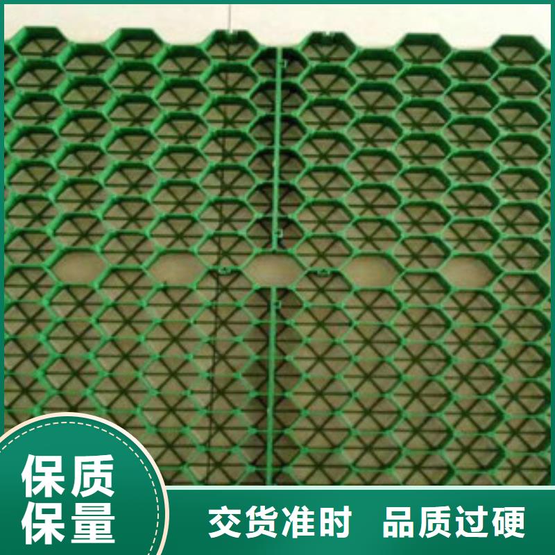 植草格植草格廠家送貨上門