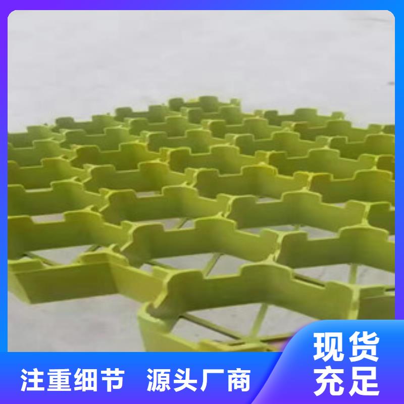 【植草格】土工膜厂家用心制造