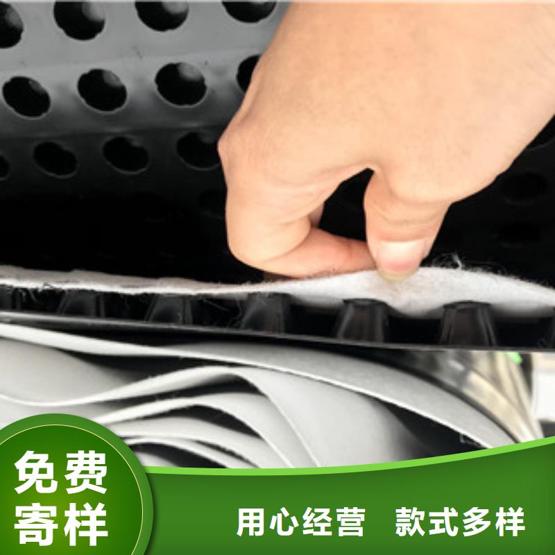 排水板蓄排水板廠家廠家直營