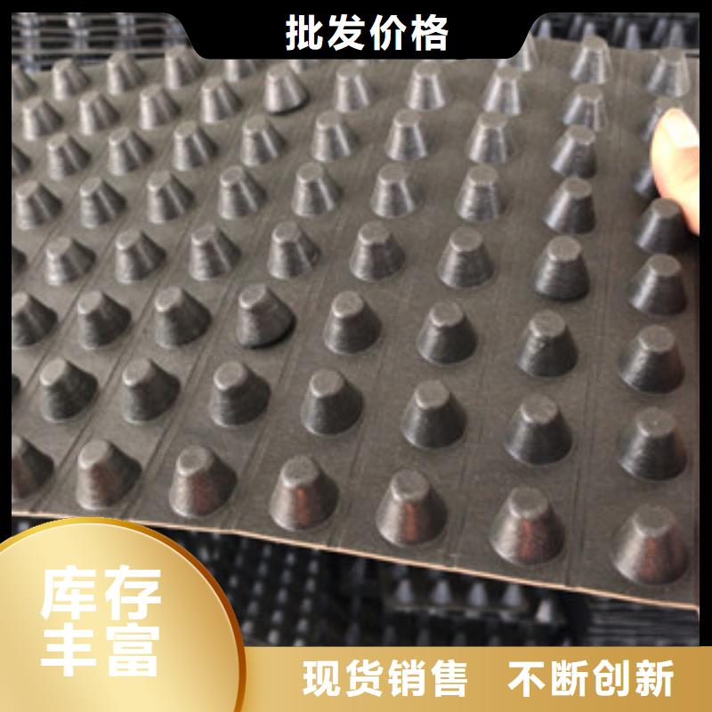 排水板蓄排水板厂家热销产品
