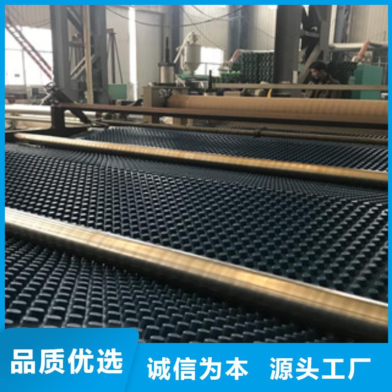 排水板蓄排水板廠家廠家直營