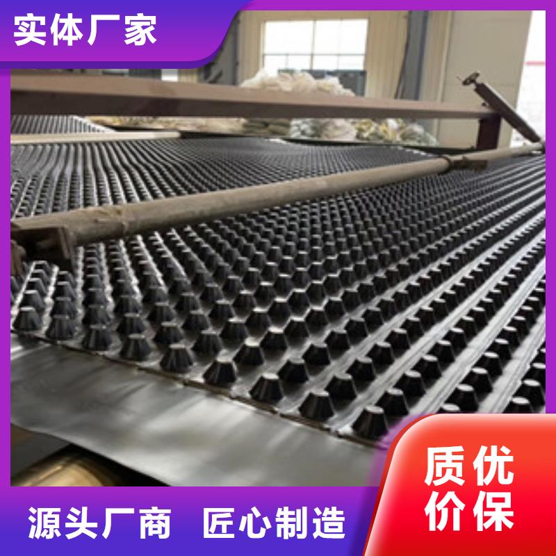 排水板蓄排水板廠家廠家直營