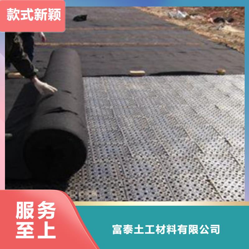 【排水板】排水板廠家值得信賴