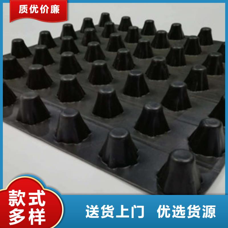 排水板土工布廠家工廠直營