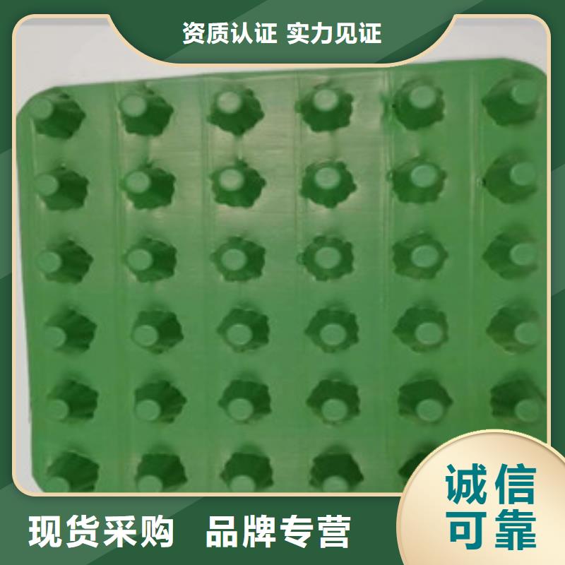 排水板蓄排水板廠家廠家直營